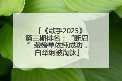 《歌手2025》第三期排名：“断眉”袭榜单依纯成功，白举纲被淘汰