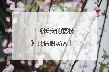 《长安的荔枝》共情职场人