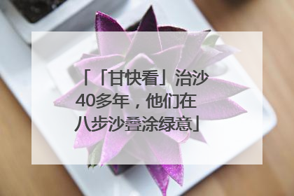 「甘快看」治沙40多年，他们在八步沙叠涂绿意