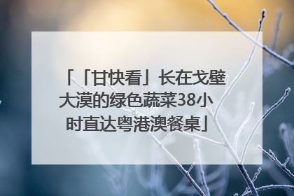 「甘快看」长在戈壁大漠的绿色蔬菜38小时直达粤港澳餐桌