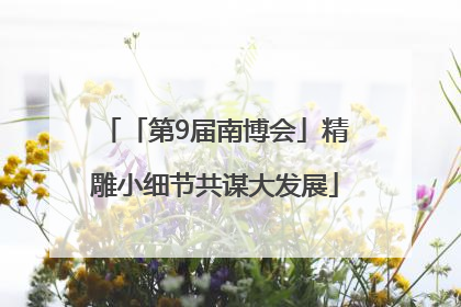 「第9届南博会」精雕小细节共谋大发展