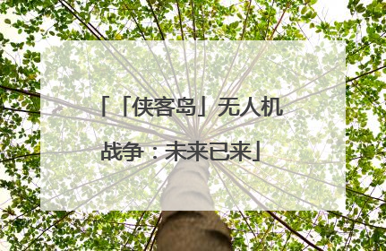 「侠客岛」无人机战争：未来已来