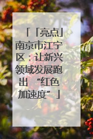 「亮点」南京市江宁区：让新兴领域发展跑出 “红色加速度”
