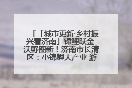 「城市更新·乡村振兴看济南」锦鲤跃金 沃野图新！济南市长清区：小锦鲤大产业 游出农旅新风景