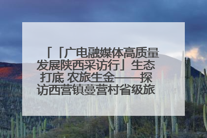 「广电融媒体高质量发展陕西采访行」生态打底 农旅生金——探访西营镇蔓营村省级旅游示范村的振兴密码