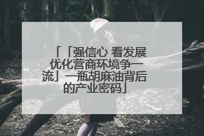 「强信心 看发展 优化营商环境争一流」一瓶胡麻油背后的产业密码