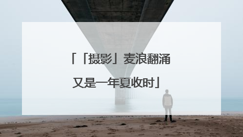 「摄影」麦浪翻涌 又是一年夏收时