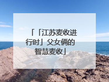 「江苏麦收进行时」父女俩的智慧麦收