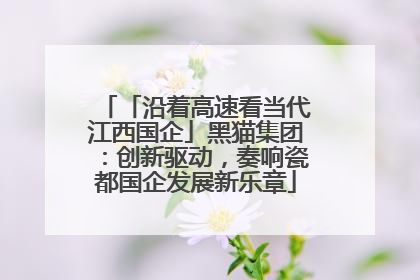 「沿着高速看当代江西国企」黑猫集团：创新驱动，奏响瓷都国企发展新乐章