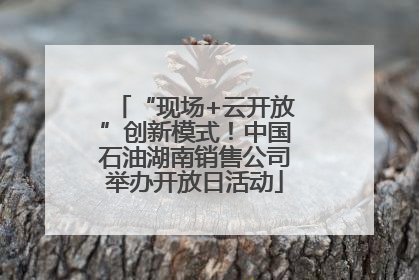 “现场+云开放”创新模式！中国石油湖南销售公司举办开放日活动