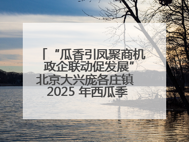 “瓜香引凤聚商机 政企联动促发展”北京大兴庞各庄镇 2025 年西瓜季政企联动产业推介活动圆满举行