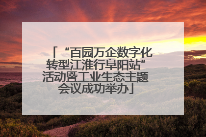 “百园万企数字化转型江淮行阜阳站”活动暨工业生态主题会议成功举办