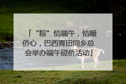 “粽”情端午，情暖侨心，巴西青田同乡总会举办端午慰侨活动