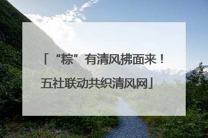“粽”有清风拂面来！五社联动共织清风网
