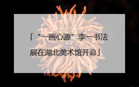 “一画心源”李一书法展在湖北美术馆开幕