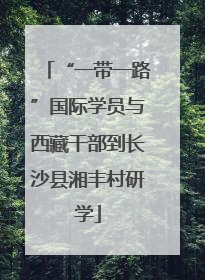 “一带一路”国际学员与西藏干部到长沙县湘丰村研学