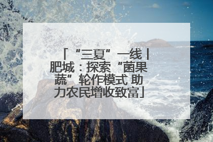 “三夏”一线丨肥城：探索“菌果蔬”轮作模式 助力农民增收致富