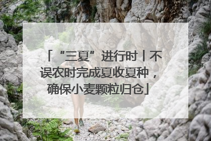 “三夏”进行时丨不误农时完成夏收夏种，确保小麦颗粒归仓