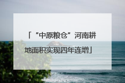 “中原粮仓”河南耕地面积实现四年连增