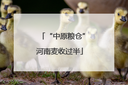 “中原粮仓”河南麦收过半