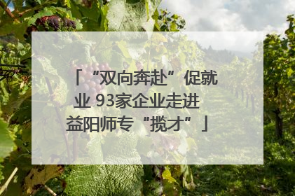 “双向奔赴”促就业 93家企业走进益阳师专“揽才”