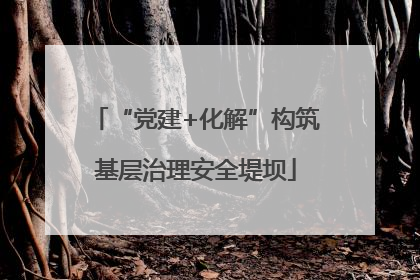 “党建+化解”构筑基层治理安全堤坝