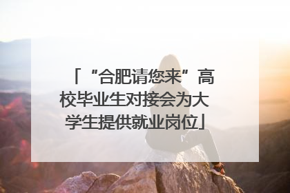 “合肥请您来”高校毕业生对接会为大学生提供就业岗位