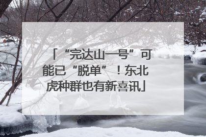 “完达山一号”可能已“脱单”！东北虎种群也有新喜讯