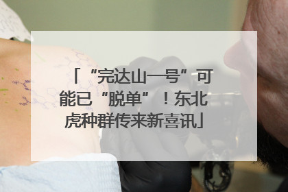 “完达山一号”可能已“脱单”！东北虎种群传来新喜讯
