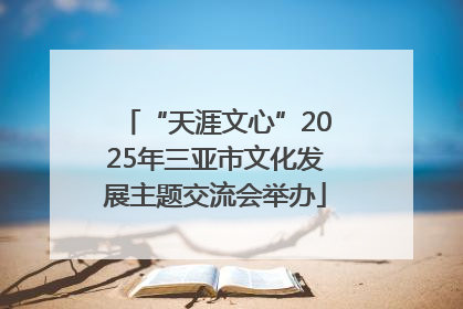 “天涯文心”2025年三亚市文化发展主题交流会举办