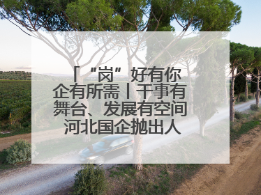 “岗”好有你 企有所需丨干事有舞台、发展有空间 河北国企抛出人才“橄榄枝”