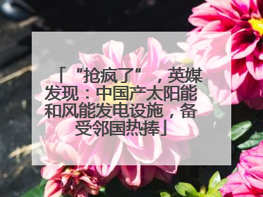 “抢疯了”，英媒发现：中国产太阳能和风能发电设施，备受邻国热捧