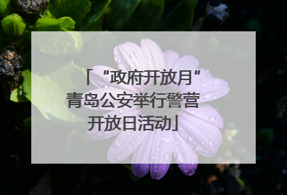 “政府开放月”青岛公安举行警营开放日活动