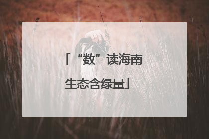 “数”读海南生态含绿量