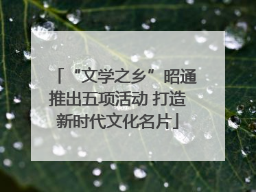 “文学之乡”昭通推出五项活动 打造新时代文化名片