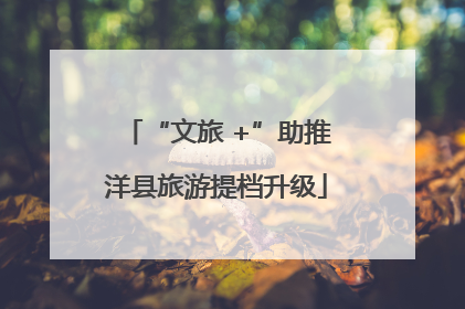 “文旅 +”助推洋县旅游提档升级
