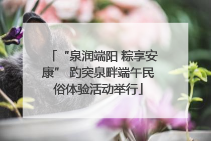 “泉润端阳 粽享安康” 趵突泉畔端午民俗体验活动举行