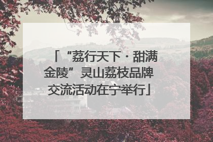 “荔行天下・甜满金陵”灵山荔枝品牌交流活动在宁举行