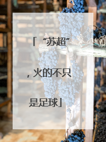 “苏超”，火的不只是足球