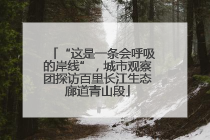 “这是一条会呼吸的岸线”，城市观察团探访百里长江生态廊道青山段