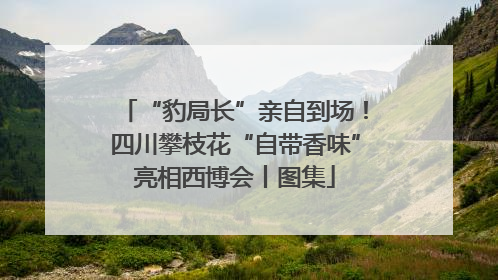 “豹局长”亲自到场！四川攀枝花“自带香味”亮相西博会丨图集