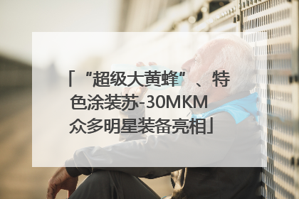 “超级大黄蜂”、特色涂装苏-30MKM 众多明星装备亮相