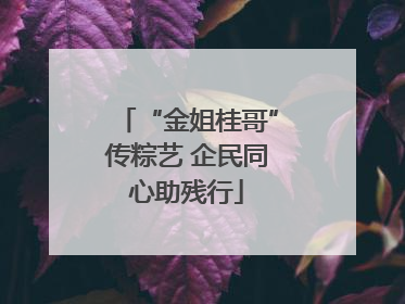 “金姐桂哥”传粽艺 企民同心助残行