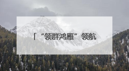 “领群鸿雁”领航边境共治新生态