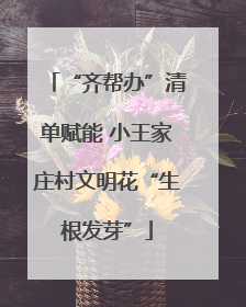 “齐帮办”清单赋能 小王家庄村文明花“生根发芽”