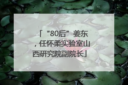 “80后”姜东，任怀柔实验室山西研究院副院长