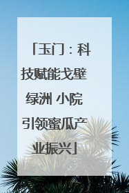 玉门：科技赋能戈壁绿洲 小院引领蜜瓜产业振兴
