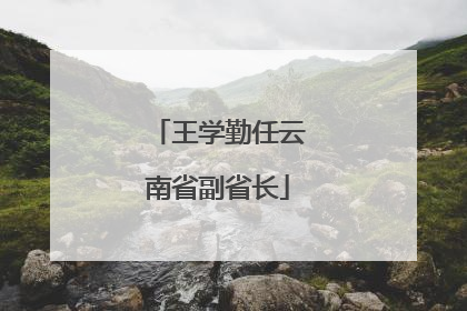 王学勤任云南省副省长