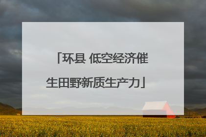 环县 低空经济催生田野新质生产力