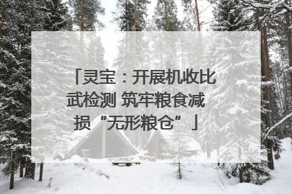 灵宝：开展机收比武检测 筑牢粮食减损“无形粮仓”